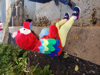 Picture of Halloween Colorful Parrot Costume for 1 year old baby
