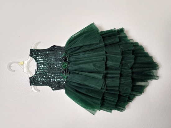 Picture of Party dark green 3 layer net frock 2-4y