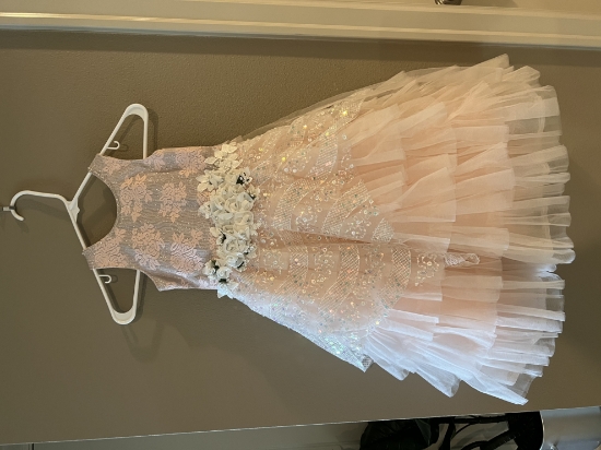 Picture of Brand new Princess frock 2-4Y