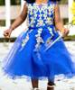 Picture of Blue Frock 1-2Y