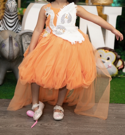 Picture of Girls swan dress 4-5Y