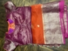 Picture of Pure Organza with kanchi border saree