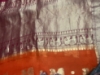 Picture of Pure Organza with kanchi border saree