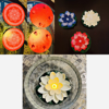 Picture of Combo Pooja Decor : Rangoli plates , 3 water sensor flowers