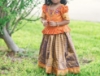 Picture of Purple Orange pattu langa 2-3y