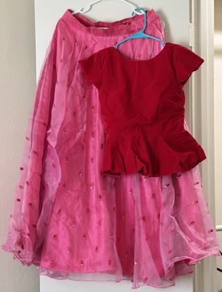 Picture of Red and Pink combination Lehanga