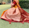 Picture of Organza saree with designer blouse