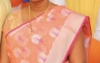 Picture of Organza saree with kutch work blouse