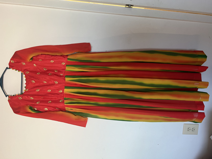 Picture of Multicolor georgette long frock