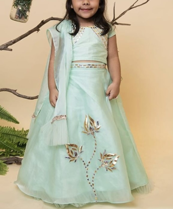 Picture of New Lil Angels Organza Foil lehenga with ruffle dupatta 2-3y