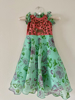 Picture of Floral Dress with maggam yoke 2-3y
