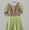 Picture of Brand new green gold long dress