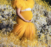 Picture of Maternity Photoshoot Dress