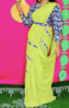 Picture of Green chiffon saree