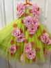 Picture of PL571 Floracent green long tule dress with 3d ink flowers 5-6y