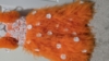 Picture of Never worn orange Birthday Dress 4-5y