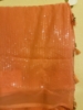 Picture of Pure Georgette Sequin saree & Red Sequin blouse