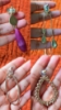 Picture of Western Earrings 