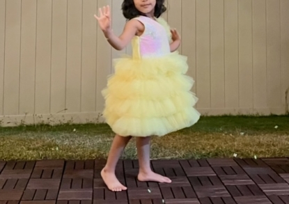 Picture of Little Muffet party wear frock 2-3y