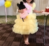 Picture of Little Muffet party wear frock 2-3y