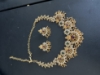 Picture of Lakshmi Devi Necklace 