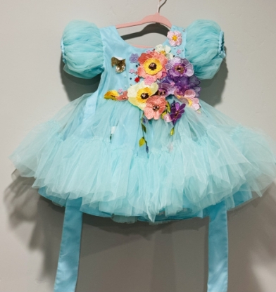Picture of Li & Li applique work designer dress 1-2y