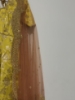 Picture of Banaras silk Anarkali 