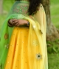 Picture of Designer Lehanga