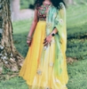 Picture of Designer Lehanga
