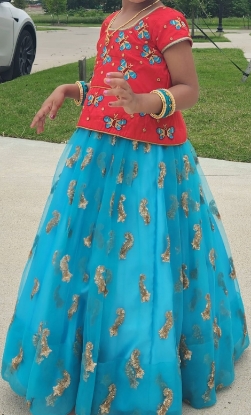 Picture of Fancy Langa with maggam work blouse 2-4y