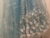 Picture of Ice blue Lehenga