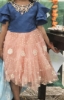 Picture of  Partywear frocks combo 2-4Y