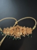 Picture of Nakshichocker and haram with earrings