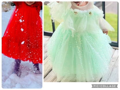 Picture of Party wear frocks combo 2-3y