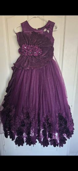 Picture of Wine colour partywear frock 7-8y