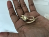 Picture of Bangle Bracelets, Saree pins combo