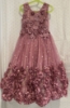 Picture of Partywear Long Dress combo 4-5y