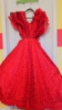 Picture of Indo western red dress