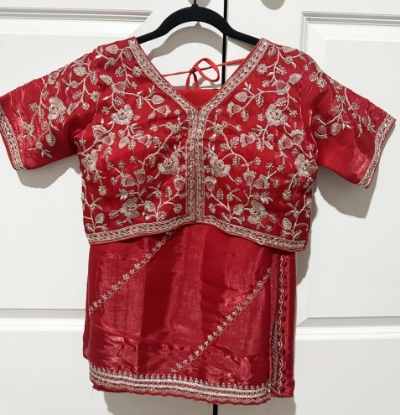 Picture of Red Organza saree with embroidery 