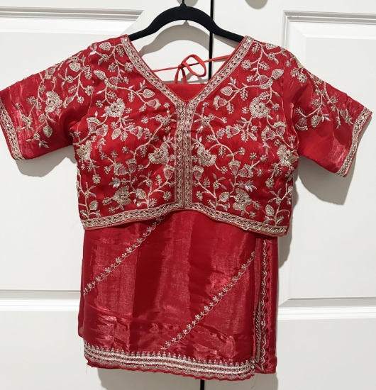 Picture of Red Organza saree with embroidery 