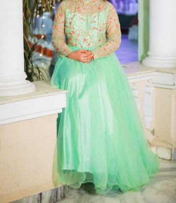 Picture of Taruni Pastel Green Long gown