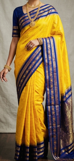 Picture of Hand Embroidered Gap Border Handloom Kanchi pattu saree  