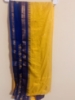 Picture of Hand Embroidered Gap Border Handloom Kanchi pattu saree  