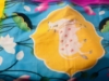 Picture of Handloom All over Pichwai Kanchi Pattu Saree with gap border . 