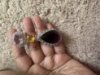 Picture of Cocktail earrings 