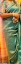 Picture of Peacock Blue Green Cocktail Saree