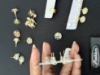 Picture of Set of 15 Dainty studs combo