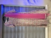 Picture of Pink floral maternity/feeding dress