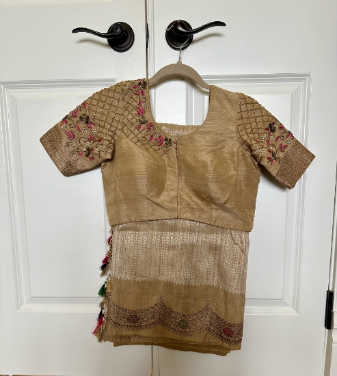 Picture of Golden beige benaras saree with hand-embroidered blouse