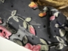 Picture of Tissue mul chanderi saree with braso blouse 
